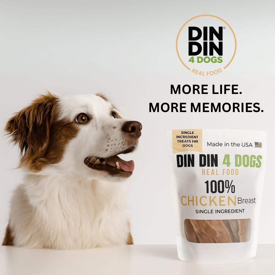 Chicken Treats Dog Treats, 5 Ounce Bag, Single Ingredient, High Protein