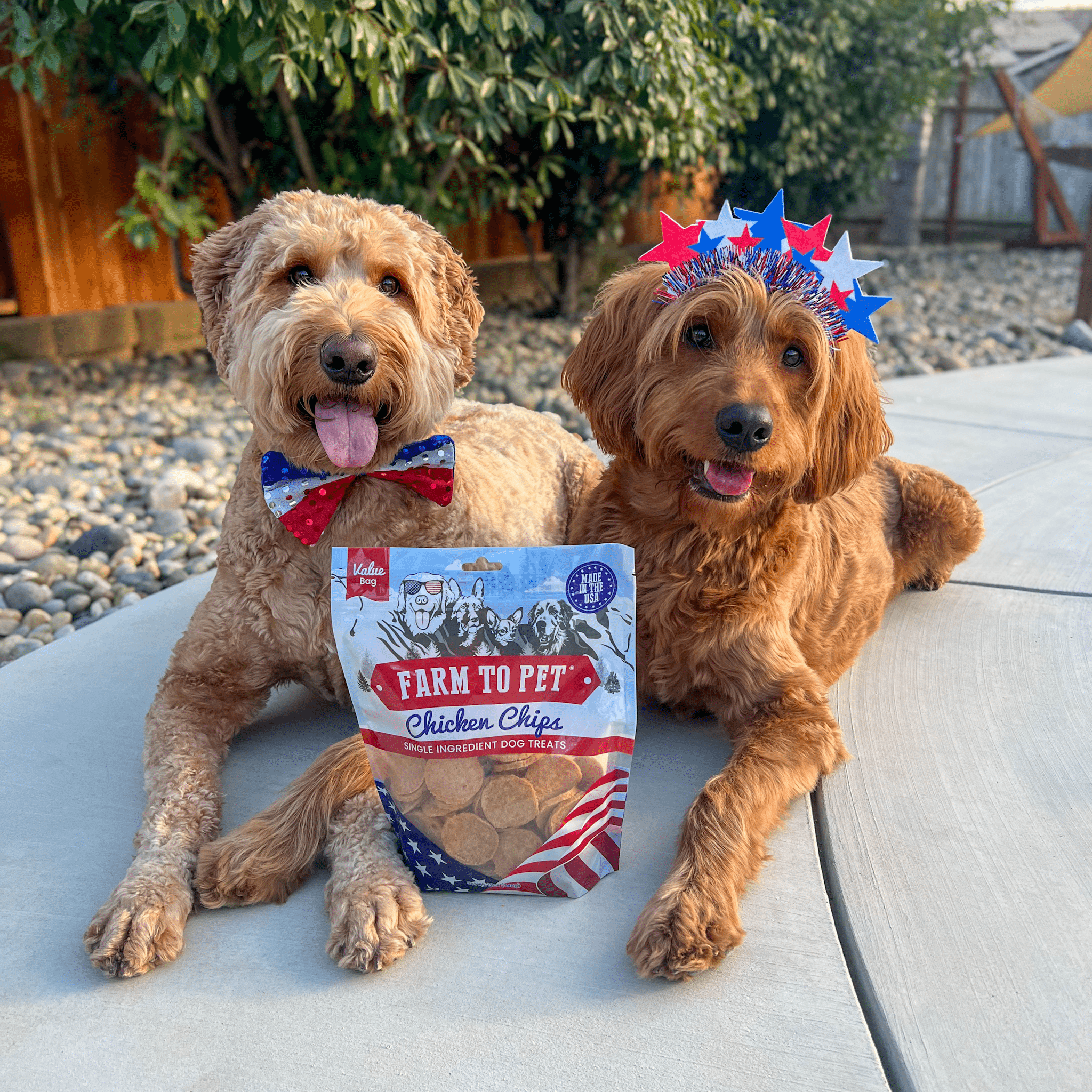 Americana Chicken Chips USA-made dog treats