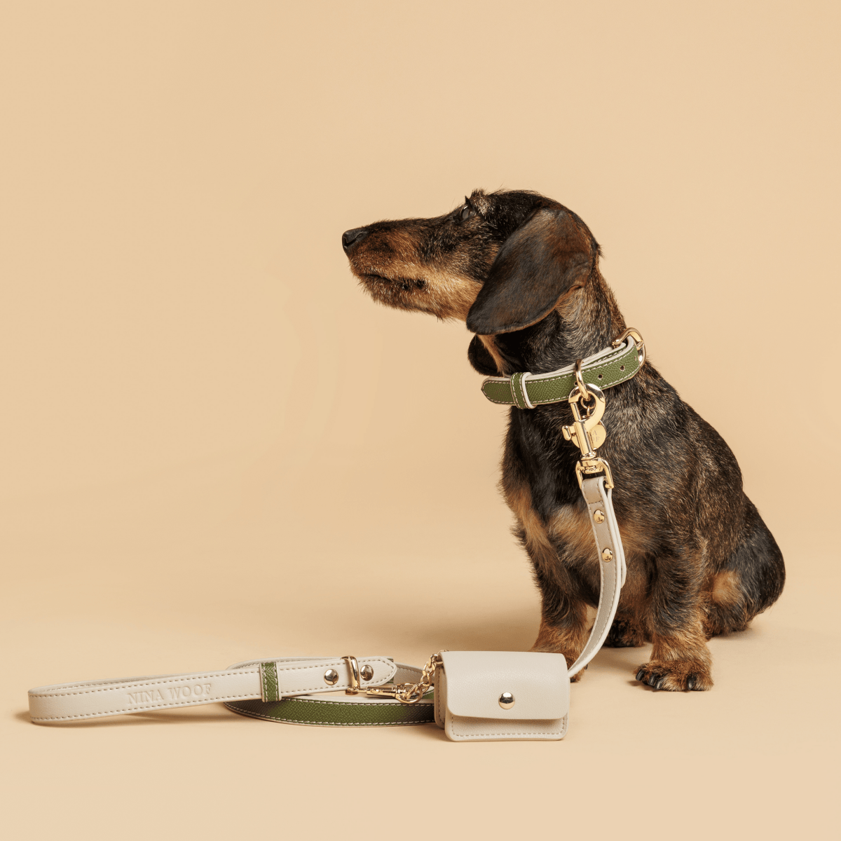 Leash 4ft - Vegan Leather - Copenhagen